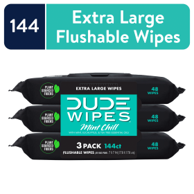 DUDE Wipes Flushable Wipes, Mint Chill XL Wet Wipes to Use with Toilet Paper, 48 Ct, 3 Pack